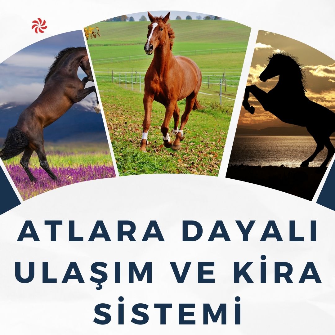 Atlara Dayalı Ulaşım ve Kira Sistemi