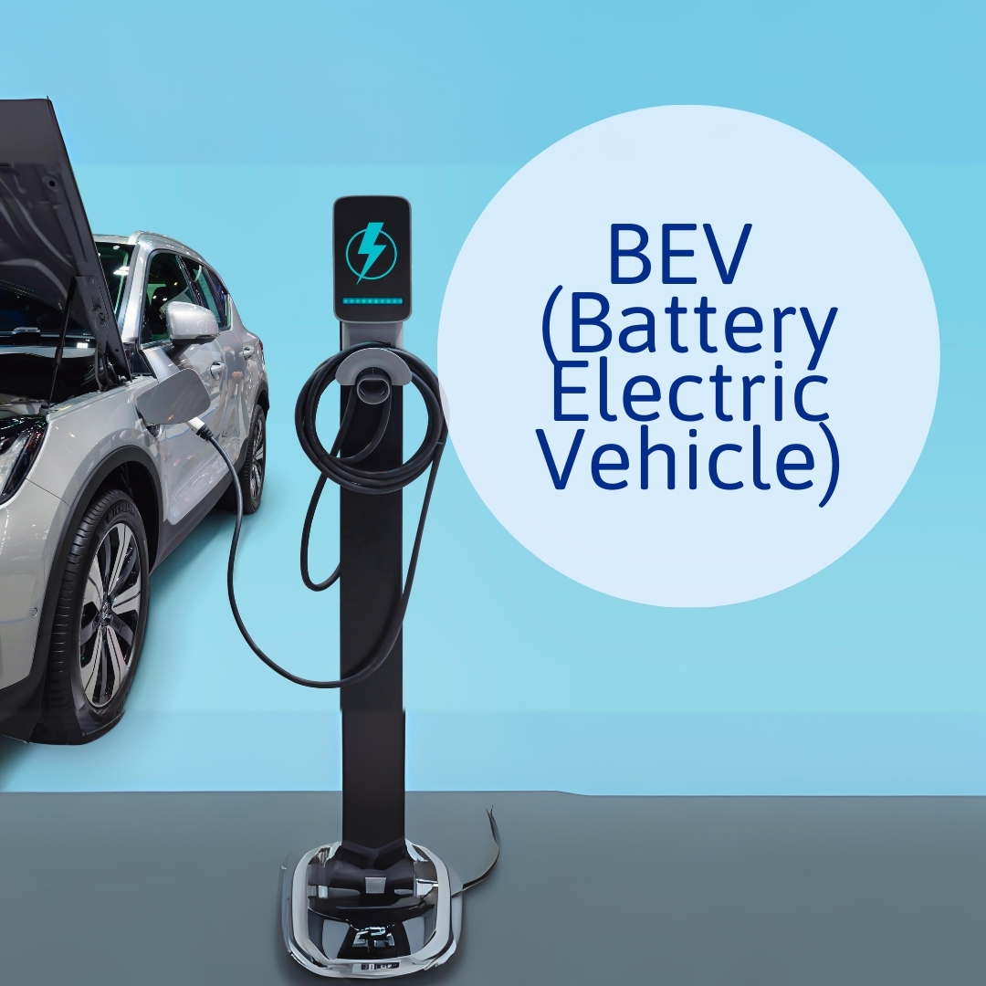 BEV (Battery Electric Vehicle)